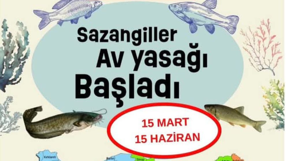 İç Sularda Sazangiller Av Yasağı Başladı.