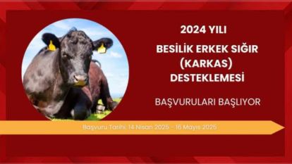 2024 Yılı Besilik Erkek Sığır (Karkas) Desteği Başvuruları Başladı.