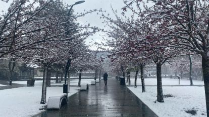 Bolu, nisan ayında beyaza büründü