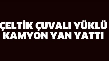 Çeltik çuvalı yüklü kamyon yan yattı