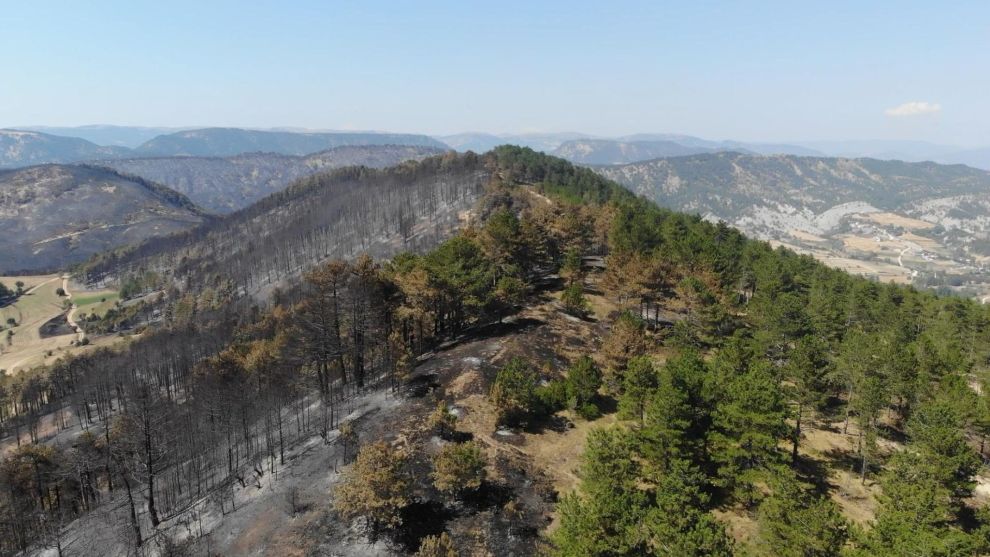 5 milyondan fazla fidan toprakla buluşacak