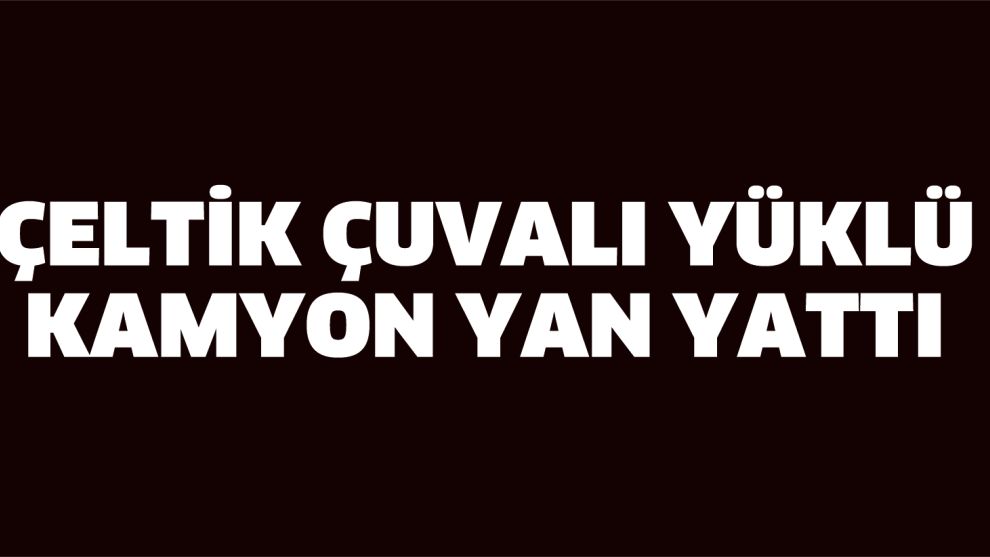 Çeltik çuvalı yüklü kamyon yan yattı