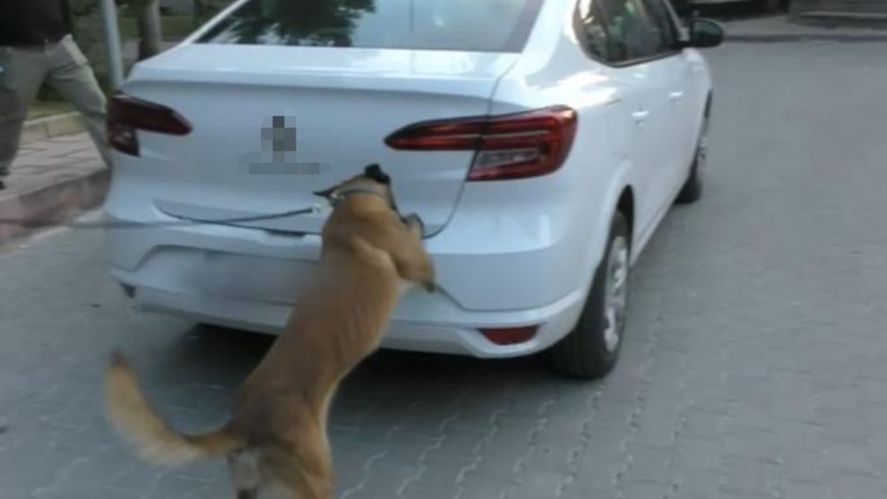 Bolu'da zehir tacirlerine geçit yok
