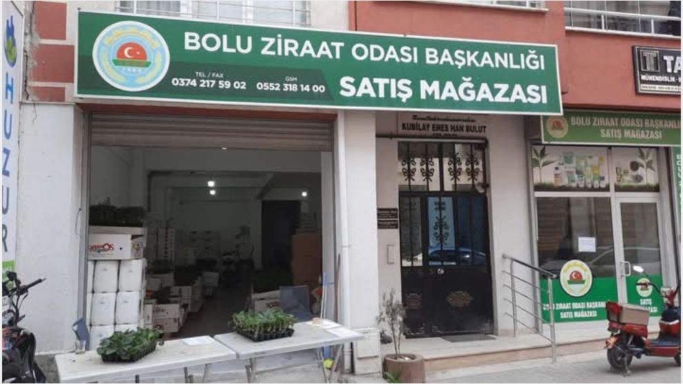 Hangi noktalarda fide dağıtılıyor?