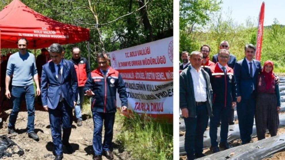 Vali Aydın, Çilek dikti...