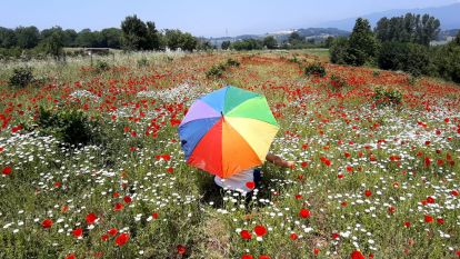 Gelincik ve papatya tarlası fotoğraf tutkunlarına görsel şölen sunuyor