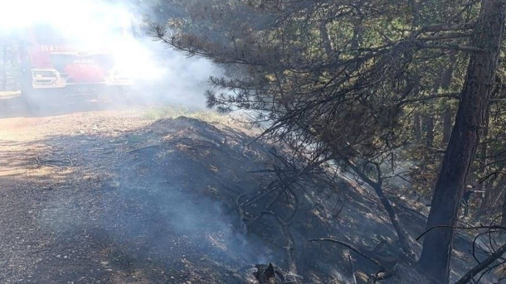 Mudurnu Sırçalı Köyü'nde Orman Yangını Korkuttu