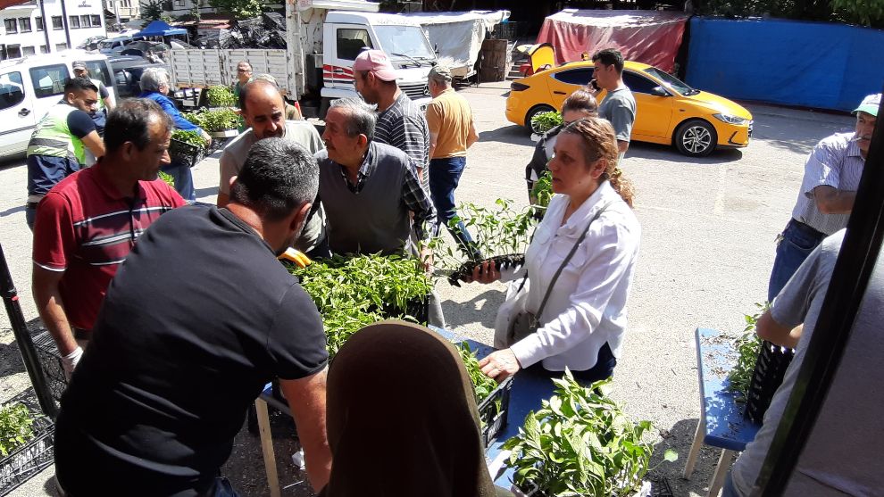 Mudurnu'da 108 bin fide dağıtıldı,