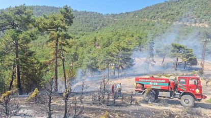 Bolu'da çıkan orman yangını büyümeden söndürüldü