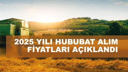 Toprak Mahsulleri Ofisi Alımlara Başladı ...
