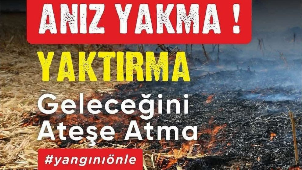 Bolu Orman Müdürlüğü’nden Sıcak Hava ve Yangın Uyarısı