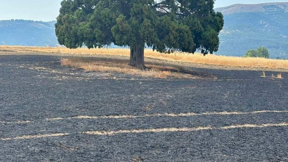 Mudurnu'da Anız Yangını