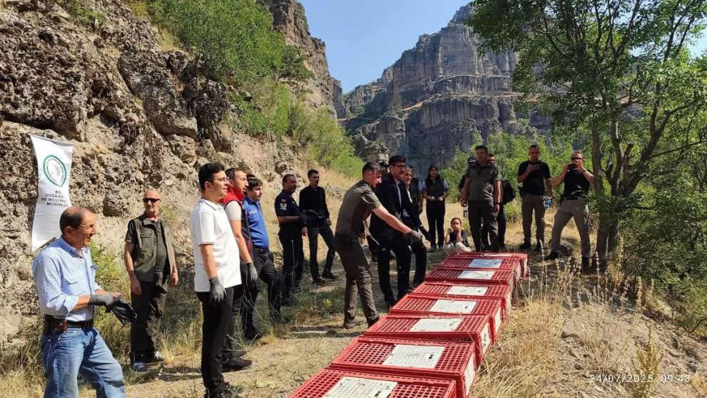 Solaklar Köyü'nde Doğaya Keklik Salımı Gerçekleştirildi