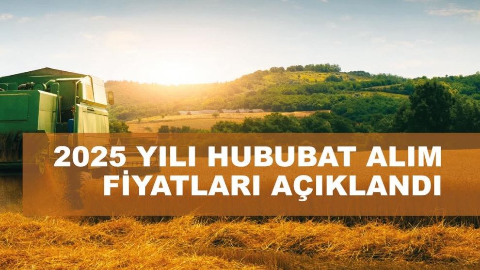 Toprak Mahsulleri Ofisi Alımlara Başladı ...