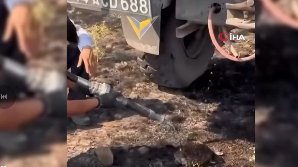 Yangından etkilenen kirpiye elleriyle su verdiler