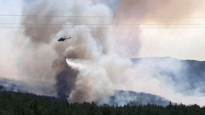 Bolu'daki orman yangınına müdahale ediliyor
