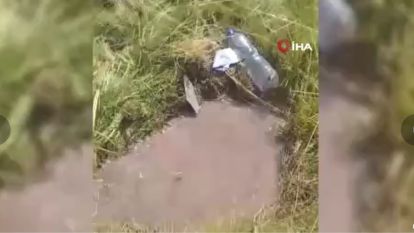 "Bu vatan hainliğinden başka bir şey değil"