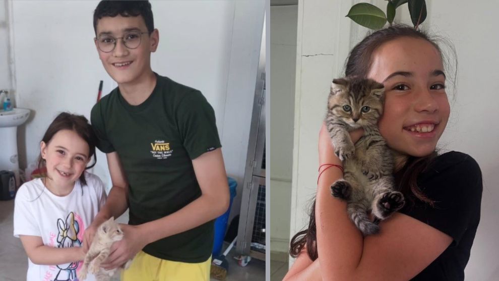 Bolu'da 10 sahipsiz sokak hayvanı yeni yuvasına kavuştu