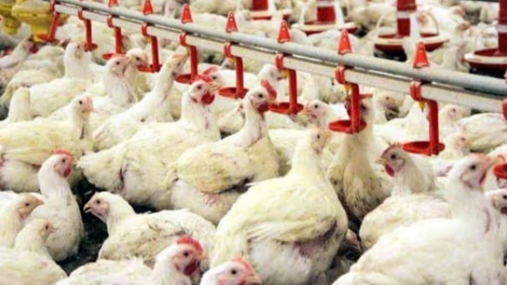 4 Milyon Liranın Üzerinde Yaptırım Uygulandı