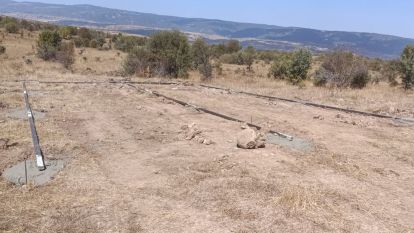 Bolu'da 150 hektarlık merada ıslah çalışması başladı