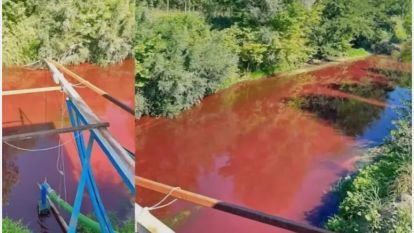 Mudurnu Deresi'nde kirlilik oranı 40 kat fazla çıktı