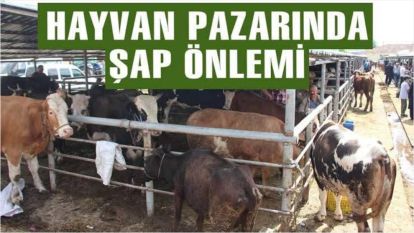 ŞAP HASTALIĞI NEDENİYLE GEREDE HAYVAN PAZARI AÇIK - BOLU HAYVAN PAZARI KAPALI ...
