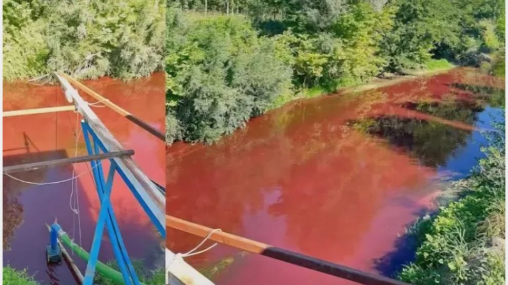 Mudurnu Deresi'nde kirlilik oranı 40 kat fazla çıktı