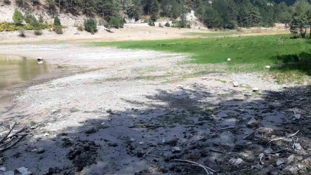 Orman yangınında kritik rol oynayan gölet, can çekişiyor