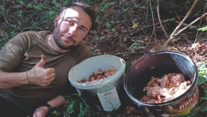 Bolu ormanlarında mantar bereketi: 25 kilo kanlıca topladı