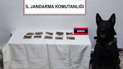 7 gözaltı
