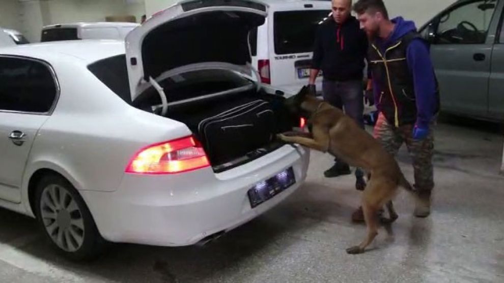 Bolu’da kaçakçılık operasyonunda 6 gözaltı