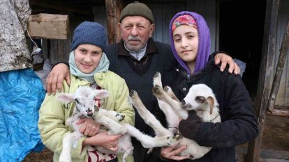 Bolu'da yaylalardan köylere göç başladı