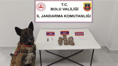 Zehir Tacirlerine Bolu Jandarmasından operasyon...