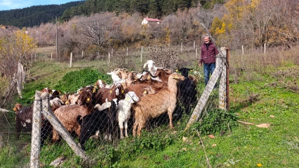 Bolu’da kayıp hayvanlar dronla bulundu