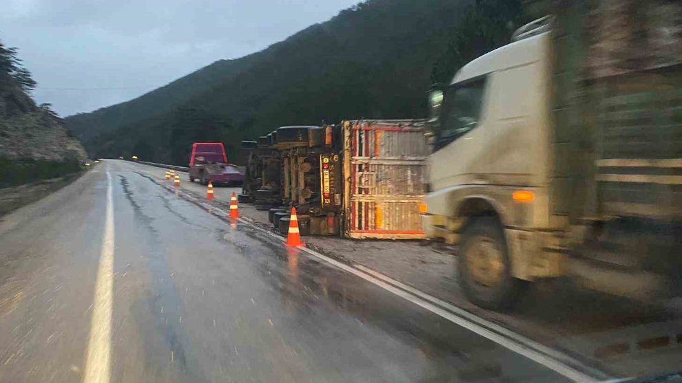 Bolu'da odun yüklü tır devrildi