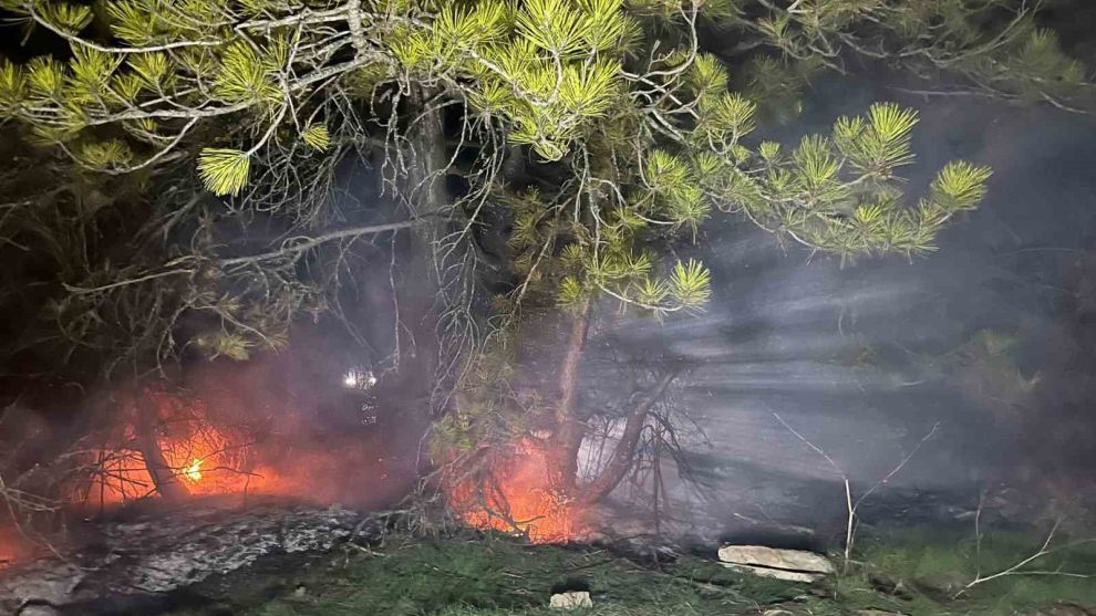 Bolu’da ormanlık alanda yangın