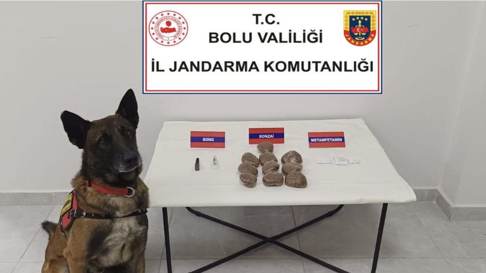 Zehir Tacirlerine Bolu Jandarmasından operasyon...