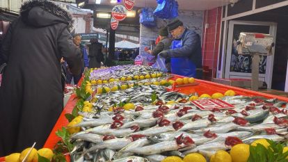 Bolu'da balık tezgahlarında hamsi bolluğu