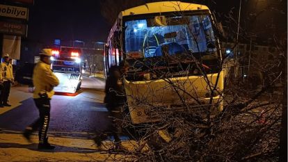 Bolu'da kontrolden çıkan halk otobüsü refüje çıktı, ağaca çarparak durabildi