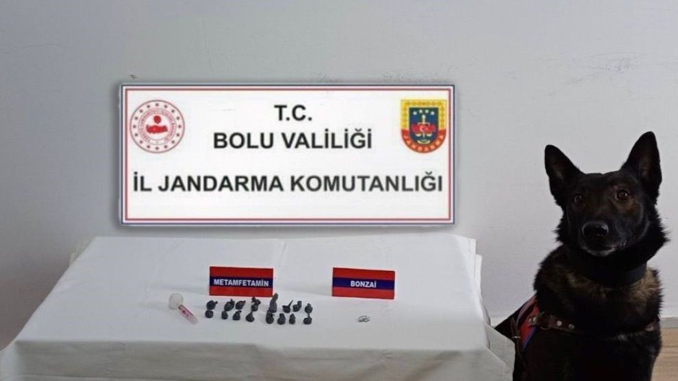 Bolu'da uyuşturucu operasyonu