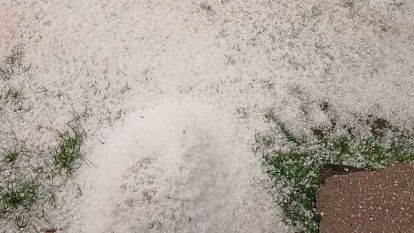 Bolu'da sabaha karşı yağan dolu yeşil alanları beyaza bürüdü