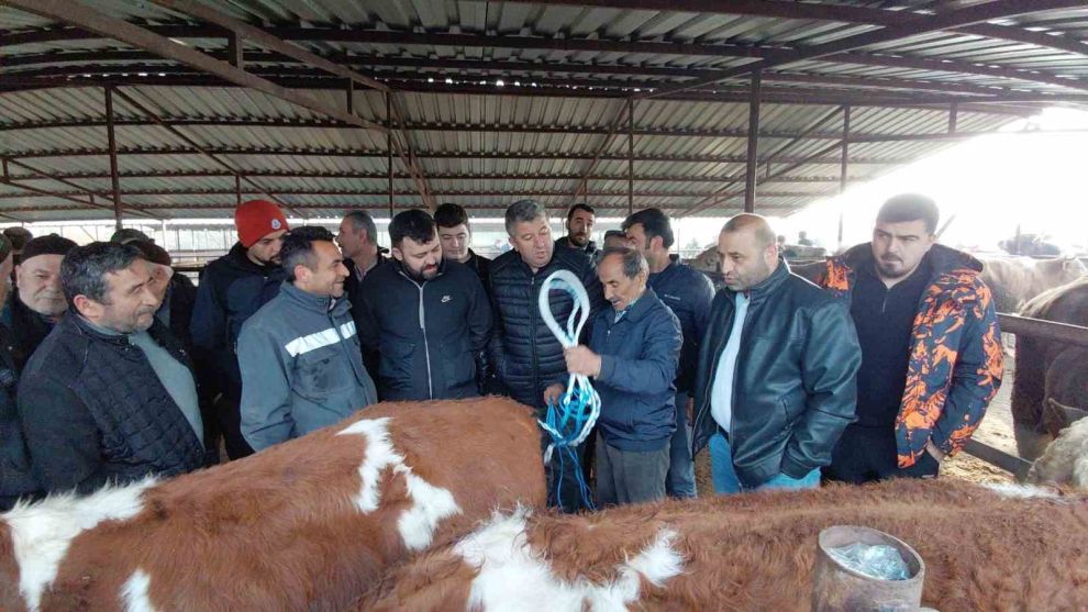 Bolu'da kurban pazarlarında hareketlilik başladı