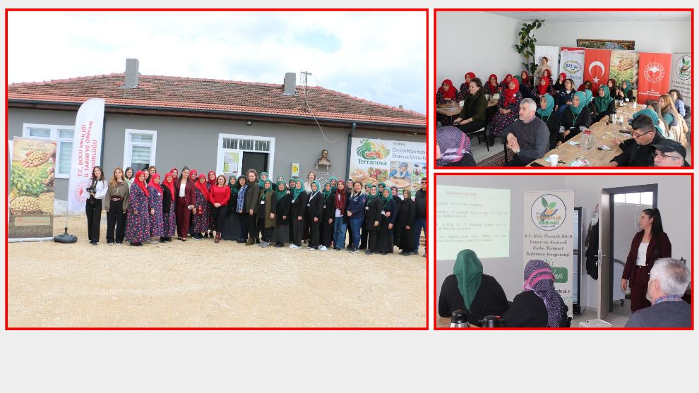 Kadın Eliyle Nohutta Bereket Projesi Kapsamında Eğitim Düzenlendi
