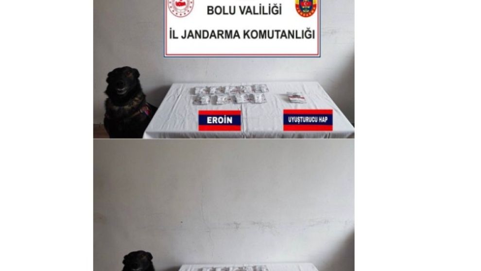 3 tutuklama