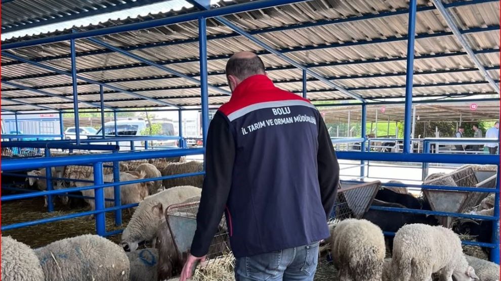 Bolu'da kurban pazarlarına yönelik denetim yapıldı
