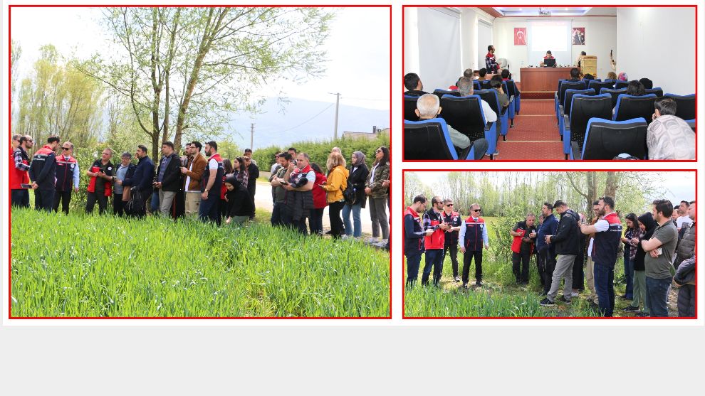 Bolu'da tarımda haksız desteklemeye geçit yok