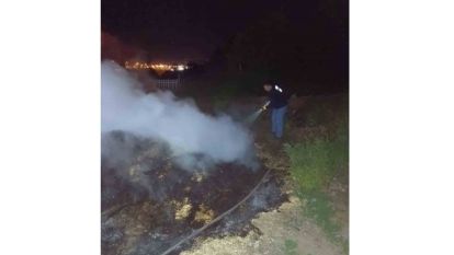 Ormana sıçramadan söndürüldü