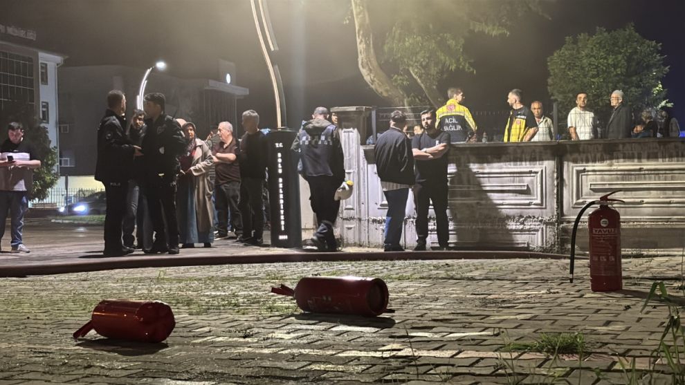Evin kedisi telef oldu