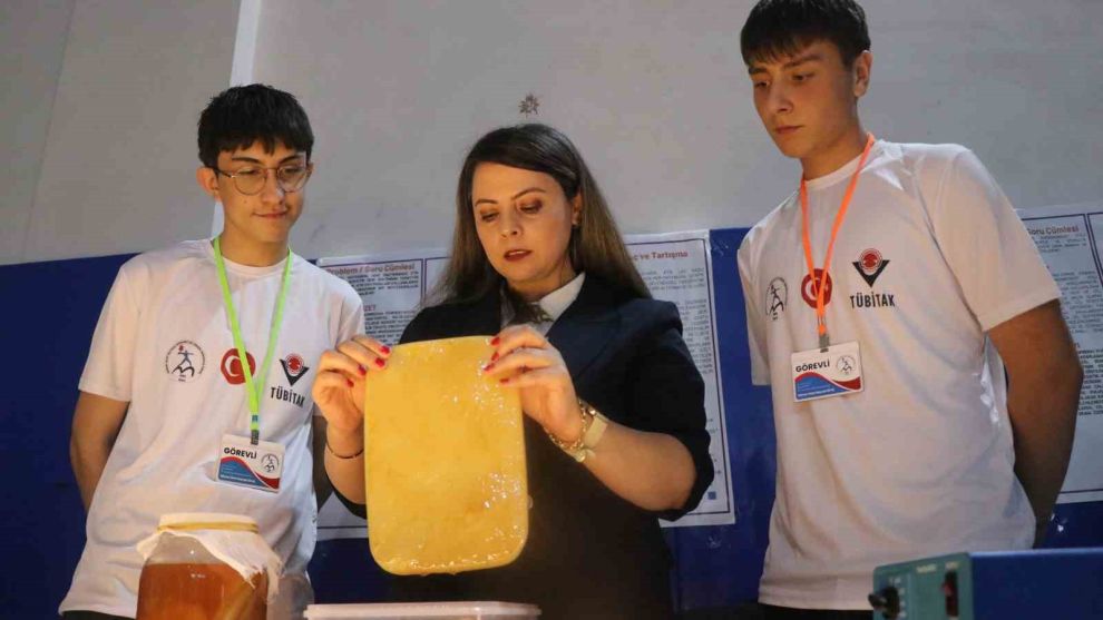 Liselilerin kombucha mantarından elde ettiği biyomateryal yanık tedavisinde kullanılabilecek